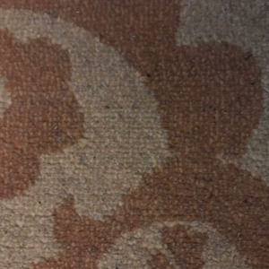 Meet your Posher, Nephratiti